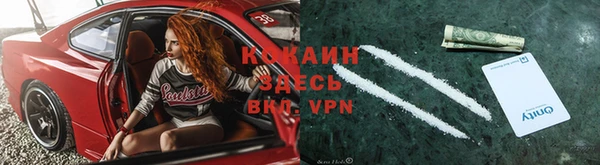 прущие крисы Пестово