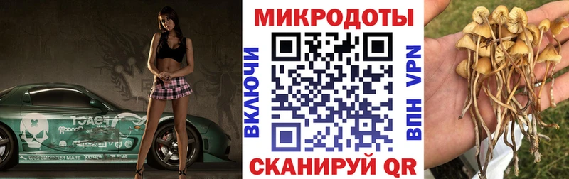 KRAKEN как войти  Тобольск  Галлюциногенные грибы прущие грибы 