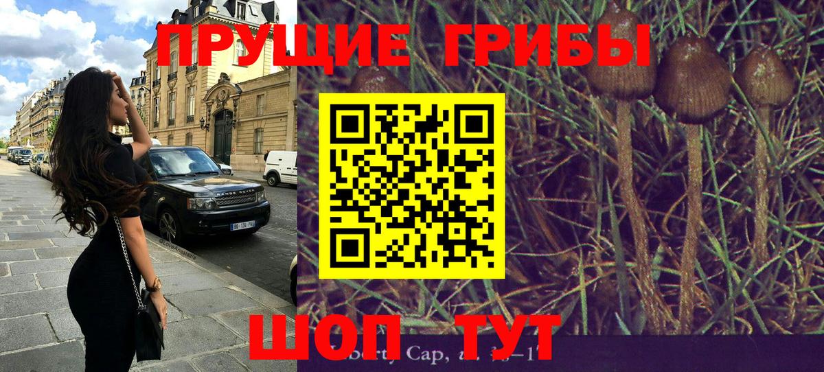 Галлюциногенные грибы мицелий  Тобольск  купить   Псилоцибиновые грибы MAGIC MUSHROOMS 