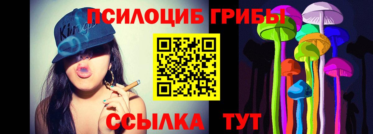 дарнет шоп  Вход с VPN  Тобольск  Псилоцибиновые грибы Psilocybine cubensis 