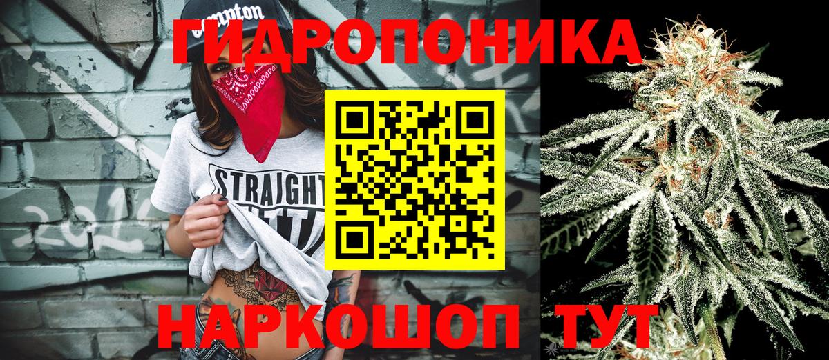Канабис конопля  Бошки марихуана семена  Канабис AK-47  Вход с VPN  МАРИХУАНА VHQ  Тобольск 